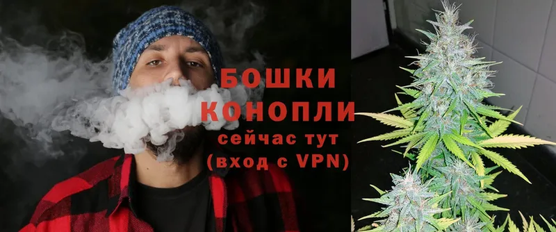 МАРИХУАНА OG Kush  Межгорье 